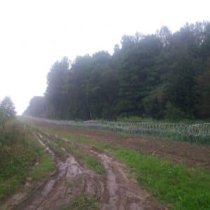 NEWS FROM THE BORDER BETWEEN POLAND AND BELARUS